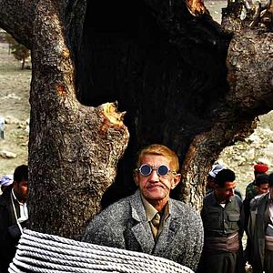 Bilder Shahram Alidi