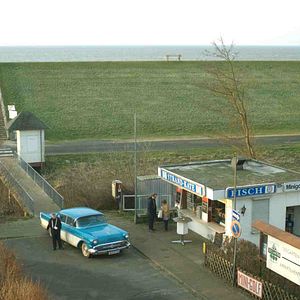 Bilder Die Schimmelreiter