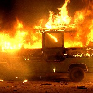 Bilder Alison Murray