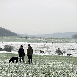 Bilder Eicke Bettinga