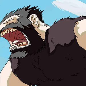 Bilder François Alaux