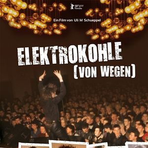 Bilder Elektrokohle (Von Wegen)