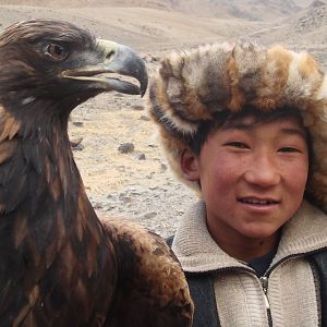 Bilder Die Stimme des Adlers