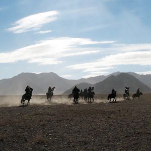 Bilder Die Stimme des Adlers