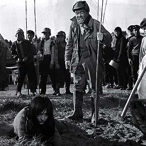 Bilder Kiriô Urayama