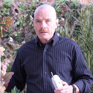 Bilder Bryan Cranston