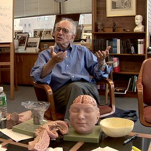 Bilder Auf der Suche nach dem Gedächtnis