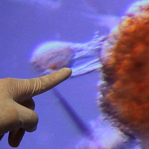 Bilder Auf der Suche nach dem Gedächtnis