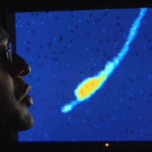 Bilder Auf der Suche nach dem Gedächtnis