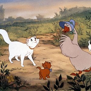 Bilder Aristocats