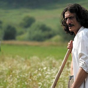 Bilder Tibor Pálffy