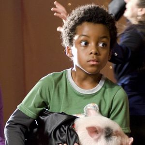 Bilder College Road Trip