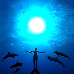 Die Bucht : Bild Louie Psihoyos