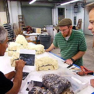 Die Bucht : Bild Louie Psihoyos