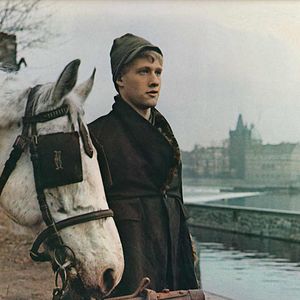 Bilder Schlachthof 5