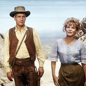 Bilder Diane Cilento