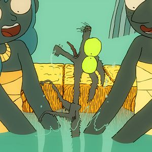 Bilder Die Katze des Rabbiners