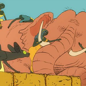 Bilder Die Katze des Rabbiners