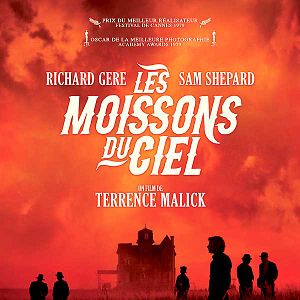 Bilder In der Glut des Südens