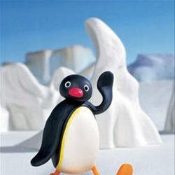 Bilder Pingu