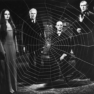 Bilder Elizabeth Allan