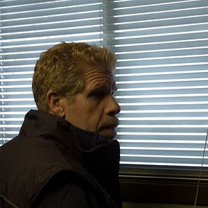 Bilder The Last Winter