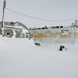 Bilder The Last Winter