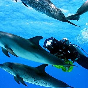 Bilder Jean-Jacques Mantello