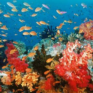 Bilder Jean-Jacques Mantello