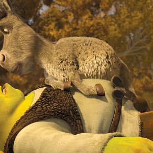 Bilder Für immer Shrek