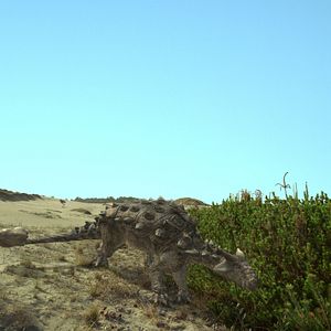 Bilder Dinosaurier Live 3D - Fossilien zum Leben erweckt