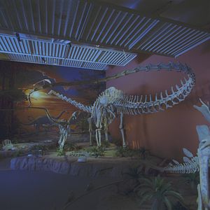 Bilder Dinosaurier Live 3D - Fossilien zum Leben erweckt