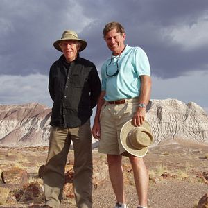Bilder Dinosaurier Live 3D - Fossilien zum Leben erweckt