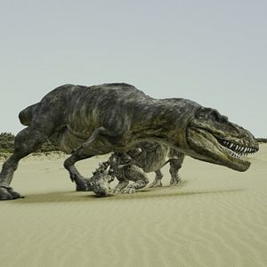 Bilder Dinosaurier Live 3D - Fossilien zum Leben erweckt
