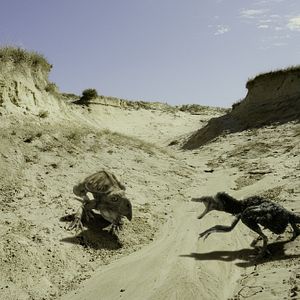 Bilder Dinosaurier Live 3D - Fossilien zum Leben erweckt