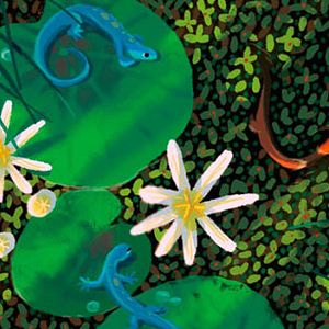 Bilder Gary Rydstrom