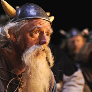 Bilder Wickie und die starken Männer