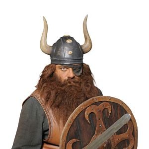 Bilder Wickie und die starken Männer