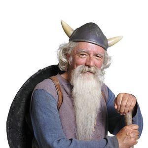 Bilder Wickie und die starken Männer