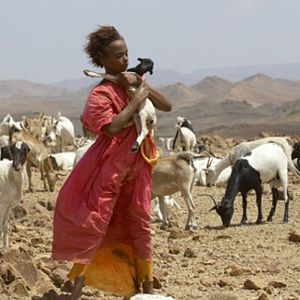 Bilder Soraya Omar-Scego