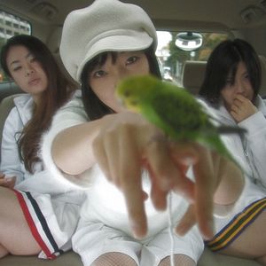 Bilder Love Exposure