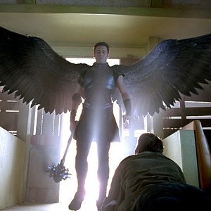 Bilder Scott Stewart (XX)