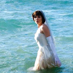 Bilder The Traveller