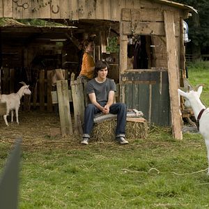 Bilder Summertime Blues