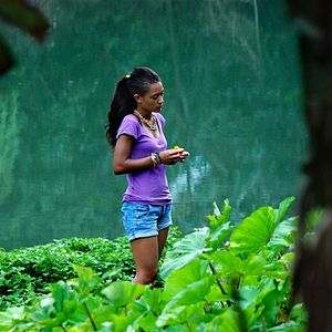 Bilder Joséphine Jobert