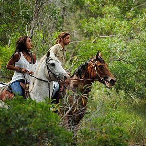 Bilder Joséphine Jobert