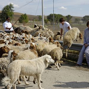 Bilder Maria, ihm schmeckt's nicht!