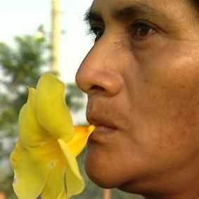 Bilder Auf halbem Weg zum Himmel