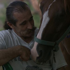 Bilder The One Man Village