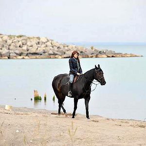 Bilder Survival of the Dead